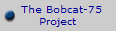   The Bobcat-75
Project